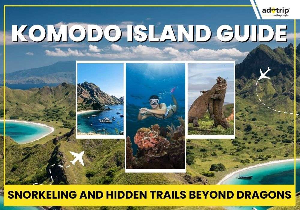 Snorkeling and Trails on Stunning Komodo Island